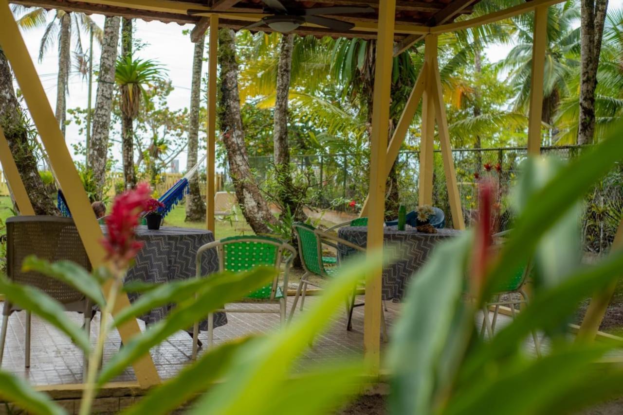 Hotel Tierra Verde Bed And Breakfast Bocas Town Luaran gambar