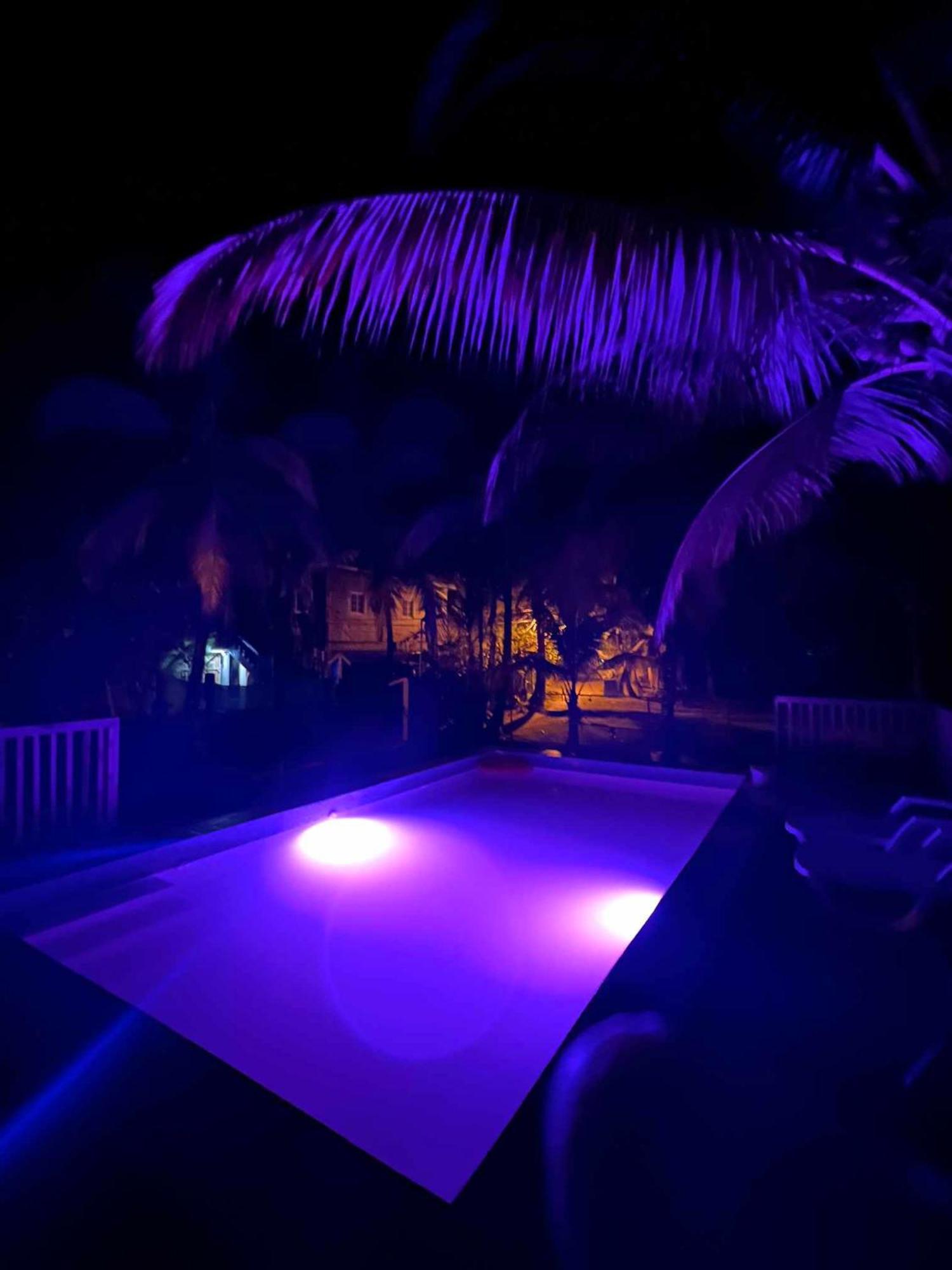 Hotel Tierra Verde Bed And Breakfast Bocas Town Luaran gambar