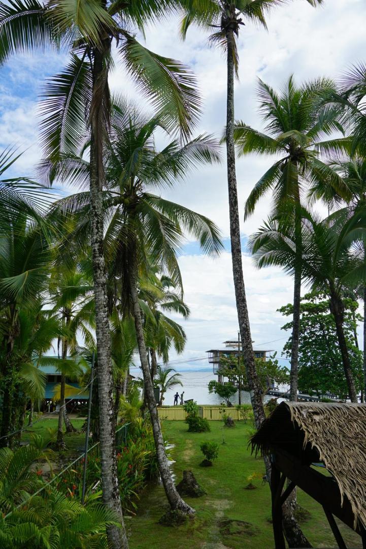 Hotel Tierra Verde Bed And Breakfast Bocas Town Luaran gambar