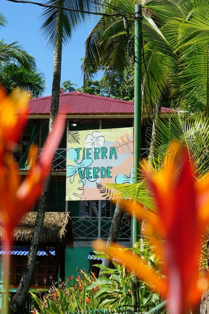 Hotel Tierra Verde Bed And Breakfast Bocas Town Luaran gambar
