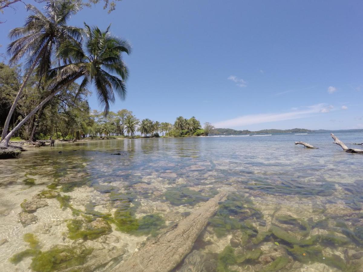 Hotel Tierra Verde Bed And Breakfast Bocas Town Luaran gambar
